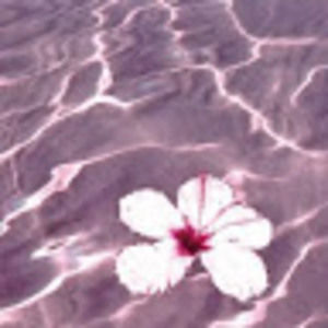 Meet your Posher, Noemy